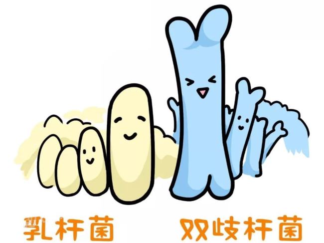 厌氧杆菌卡通图片图片
